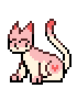 Pink and white cat with a heart shaped mark.